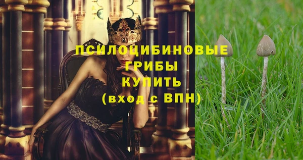 молекула духа Алексин