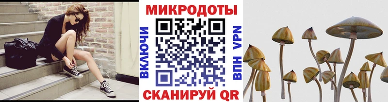цена наркотик  Отрадное  Псилоцибиновые грибы мицелий 