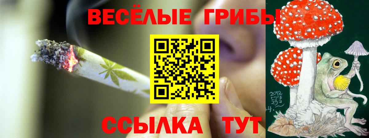 Галлюциногенные грибы мицелий  магазин    Отрадное  Вход с VPN 