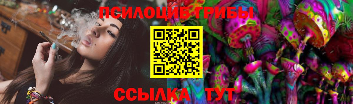 Галлюциногенные грибы мицелий Отрадное